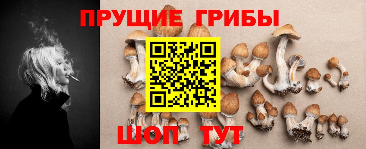 Галлюциногенные грибы прущие грибы Гулькевичи