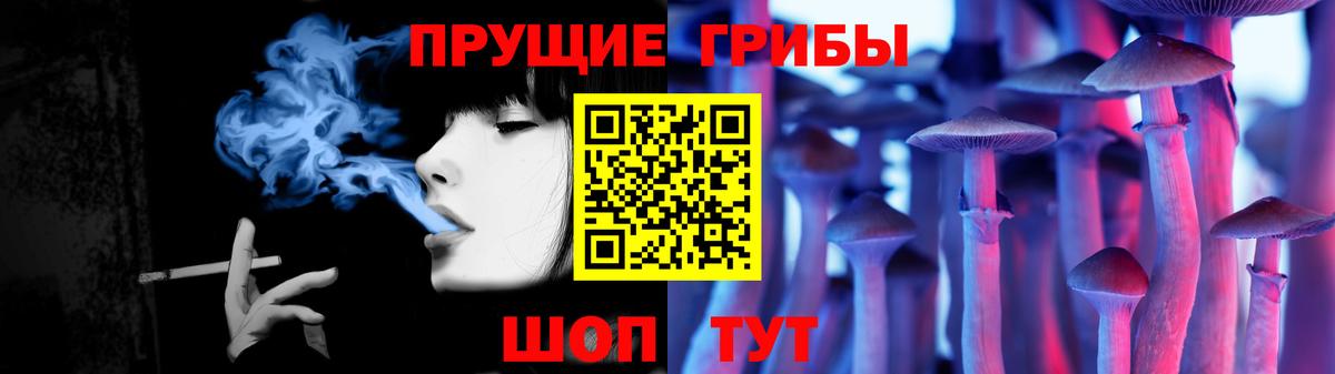Гулькевичи  Галлюциногенные грибы прущие грибы  Галлюциногенные грибы Psilocybine cubensis  Вход с VPN 